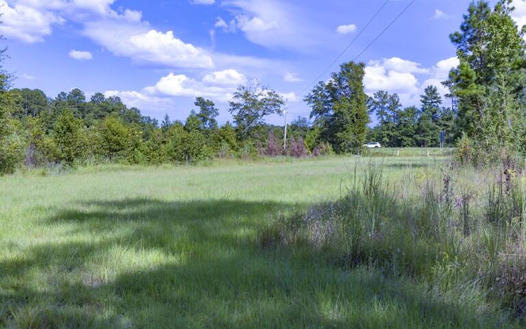 0 Mulberry Road St. George, SC 29477 - Photo 4 of 55 Mulberry Road-01 (Small)