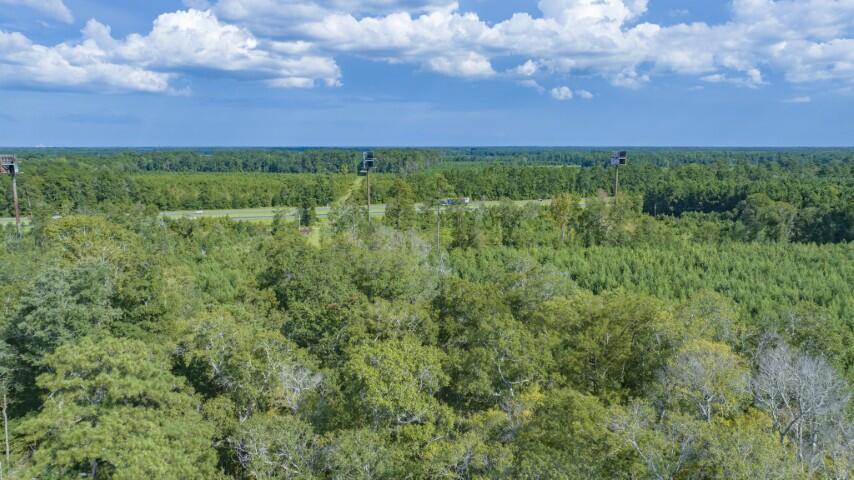 0 Mulberry Road St. George, SC 29477 - Photo 41 of 55 Mulberry Road-38 (Small)