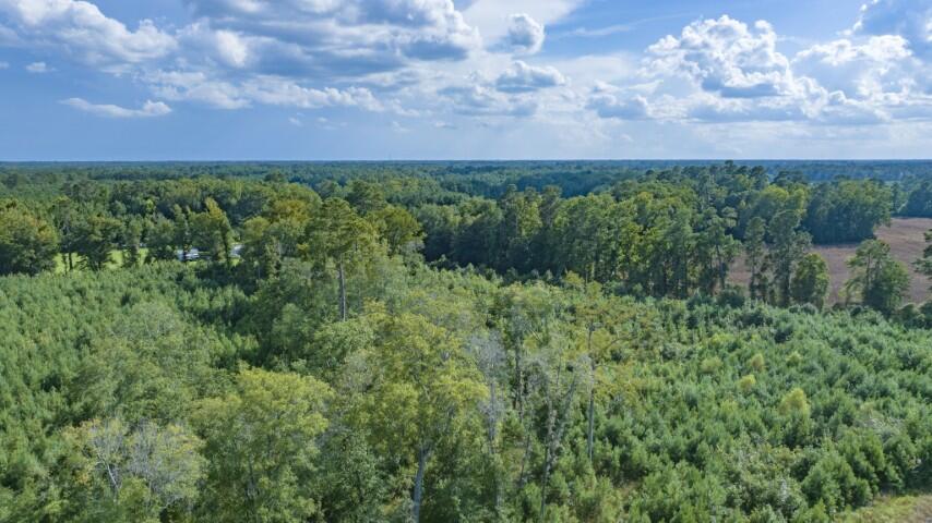 0 Mulberry Road St. George, SC 29477 - Photo 43 of 55 Mulberry Road-40 (Small)