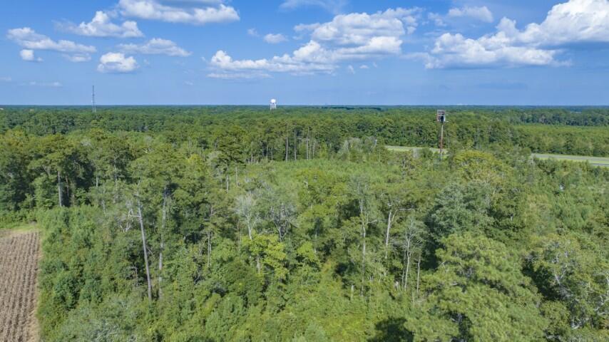 0 Mulberry Road St. George, SC 29477 - Photo 44 of 55 Mulberry Road-41 (Small)