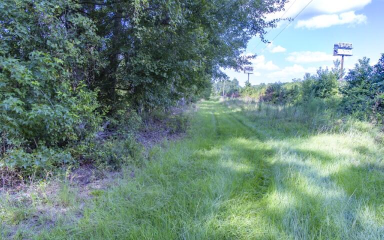 0 Mulberry Road St. George, SC 29477 - Photo 46 of 55 Mulberry Road-43 (Small)