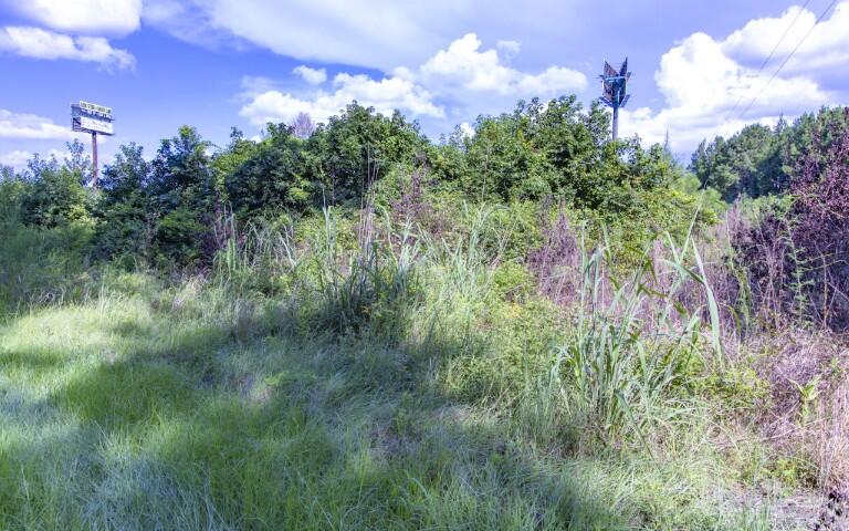 0 Mulberry Road St. George, SC 29477 - Photo 47 of 55 Mulberry Road-44 (Small)