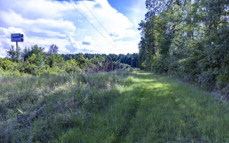 0 Mulberry Road St. George, SC 29477 - Photo 6 of 55 Mulberry Road-03 (Small)