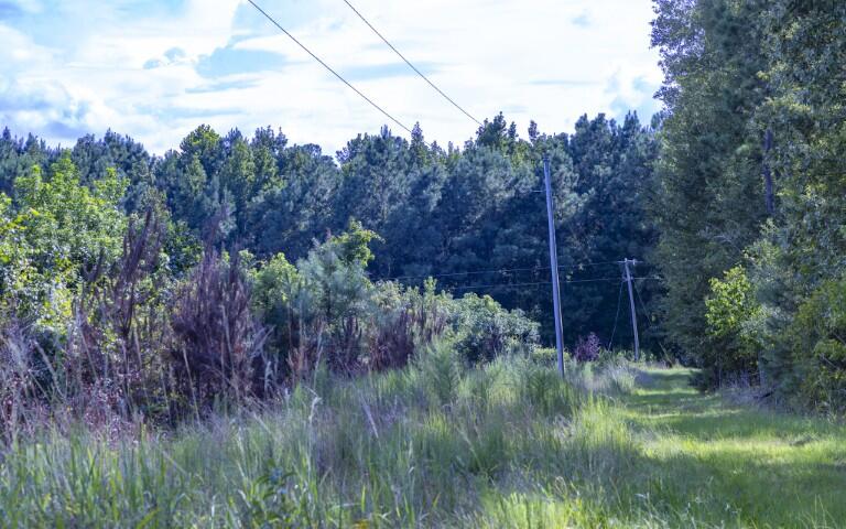 0 Mulberry Road St. George, SC 29477 - Photo 7 of 55 Mulberry Road-04 (Small)