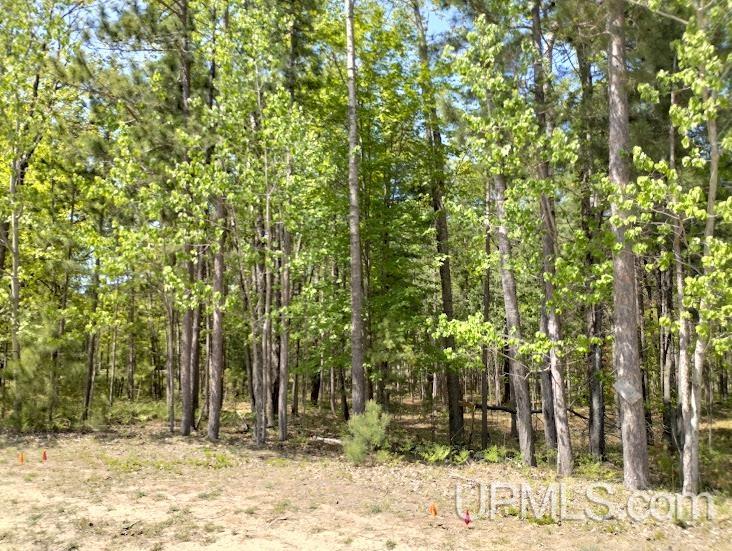 10490 Breezy R.22 Lane Rapid River, MI 49878 - Photo 2 of 5