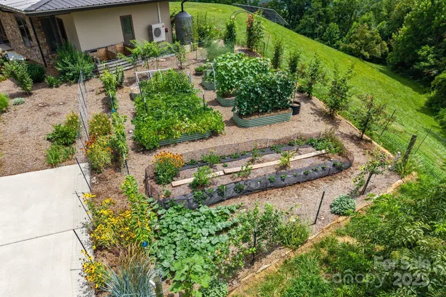 a view of a garden with a pathway