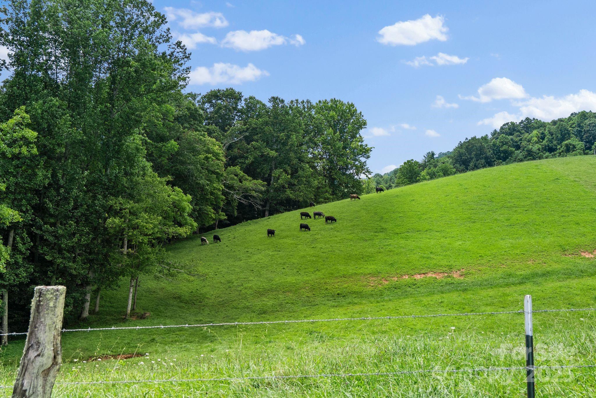 1045 Graham Road Marshall, NC 28753 - Photo 32 of 48 a view of a golf course with a garden
