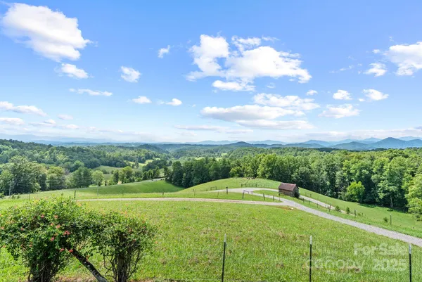 a view of a big yard with potted plants and large tree