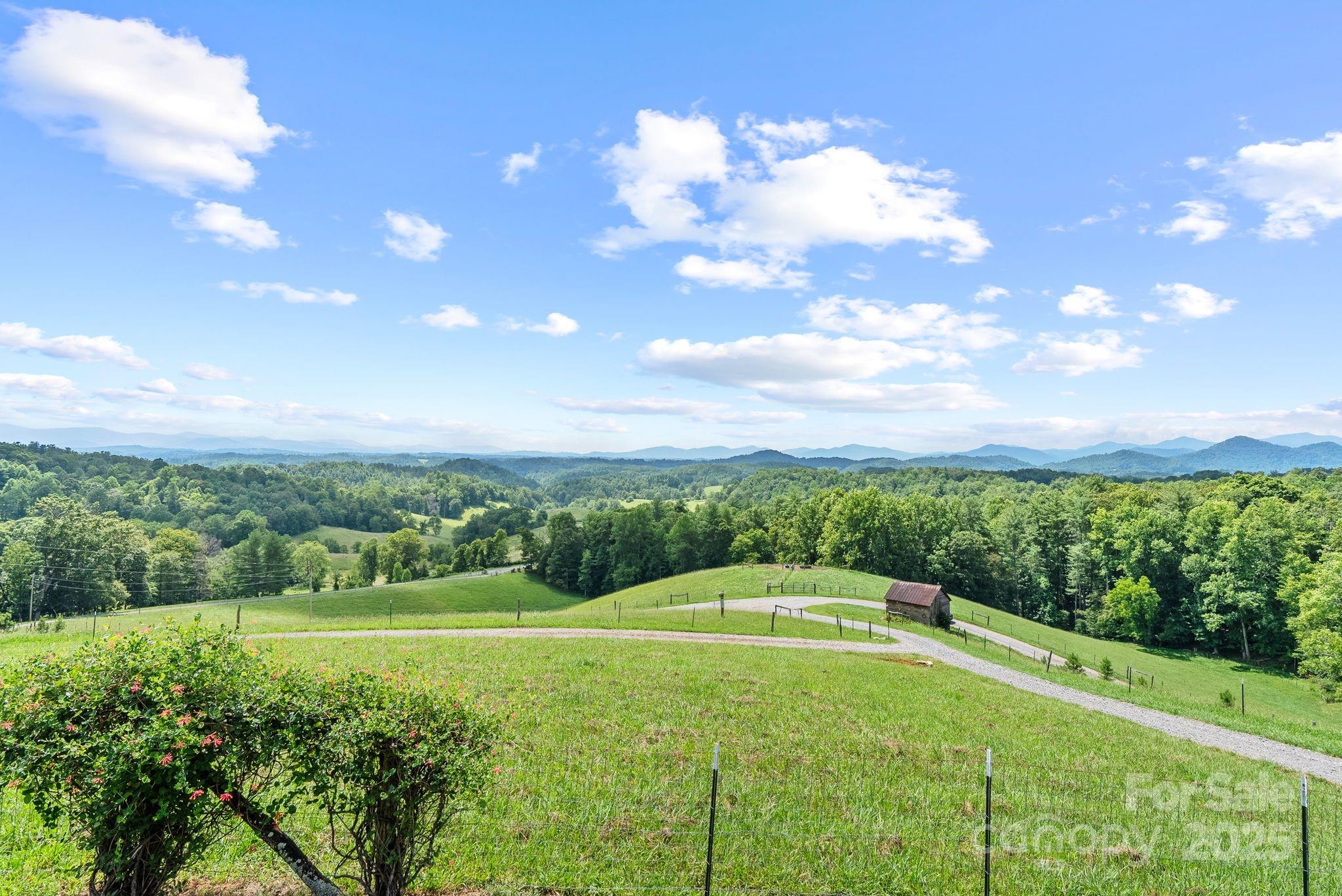 1045 Graham Road Marshall, NC 28753 - Photo 45 of 48 a view of a big yard with potted plants and large tree