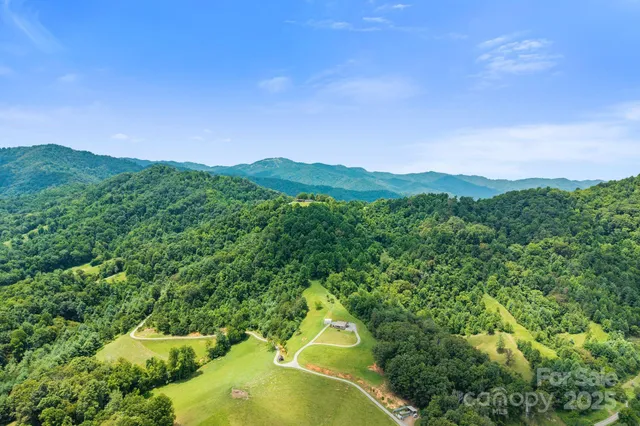 a view of a lush green forest with trees in the background