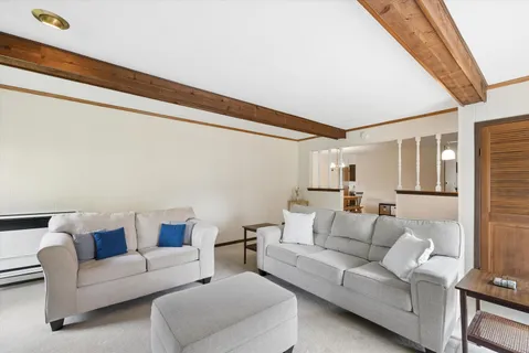 a living room with furniture and a couch