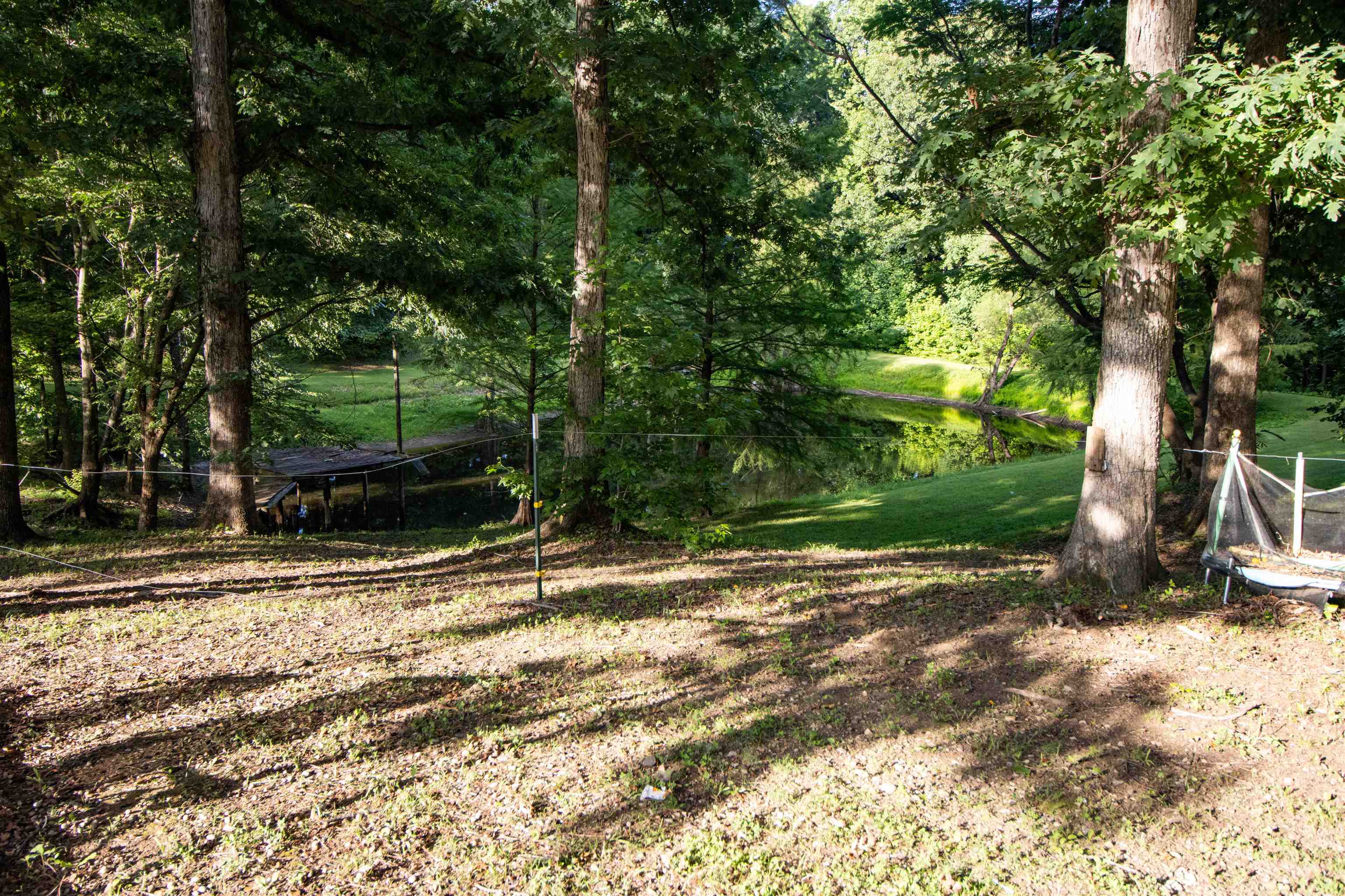 120 Craig Road Ripley, TN 38063 - Photo 31 of 38 Wooded lot featuring mature trees and pond.