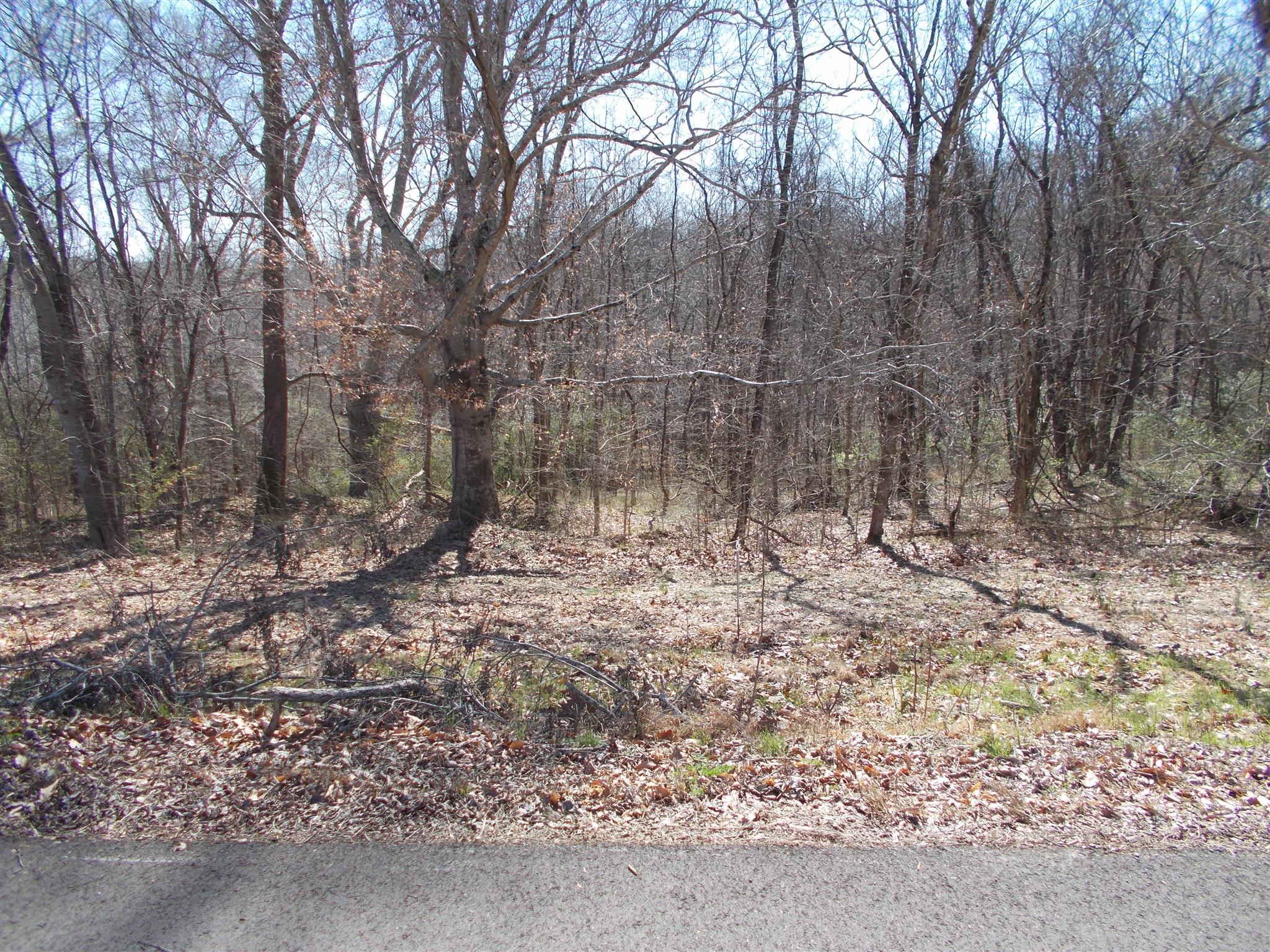 2 Ben Collier Road Charlotte, TN 37036 - Photo 1 of 2 Gallery Image 1