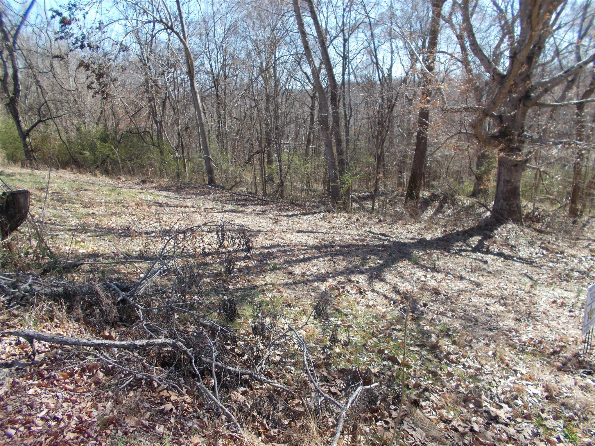2 Ben Collier Road Charlotte, TN 37036 - Photo 2 of 2 Gallery Image 2