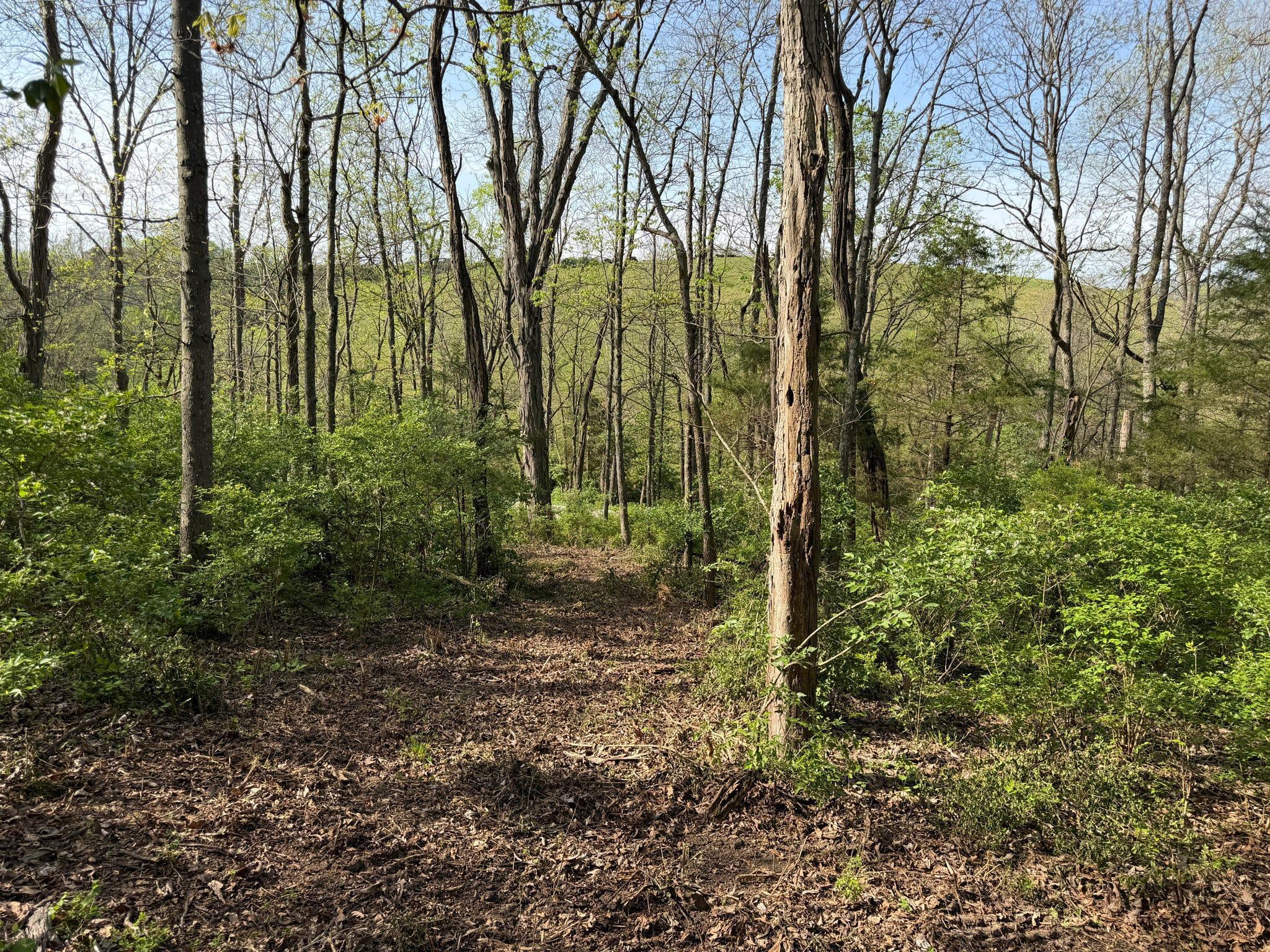 24 East Union Road Carlisle, KY 40311 - Photo 12 of 52 Trail