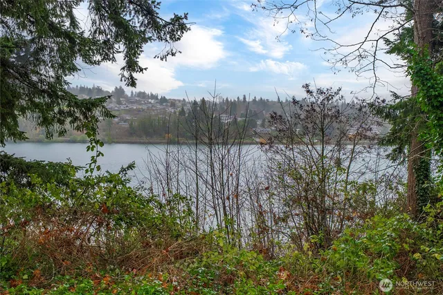 a view of a garden with plants and large trees