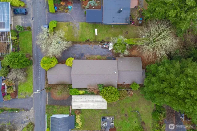 a view of a yard with plants and trees