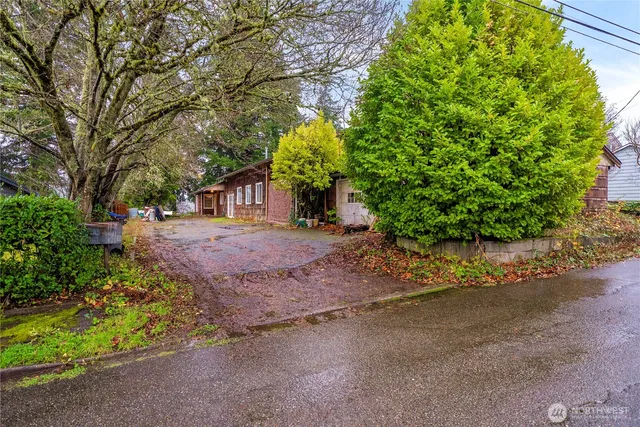 a view of a street with plants and large trees