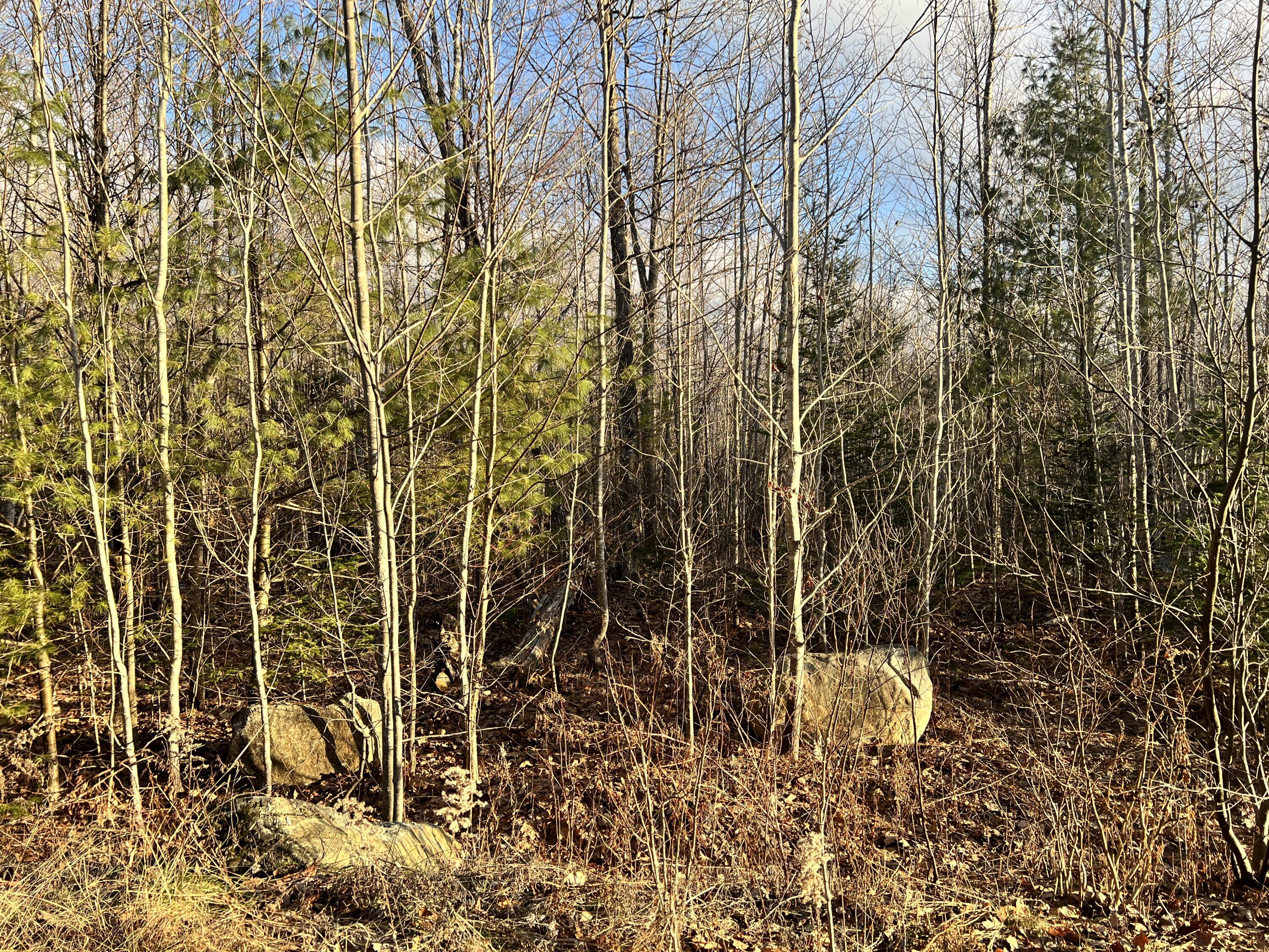 Lot 3 Mooseley Ridge Road Phillips, ME 04966 - Photo 16 of 20 Landscape