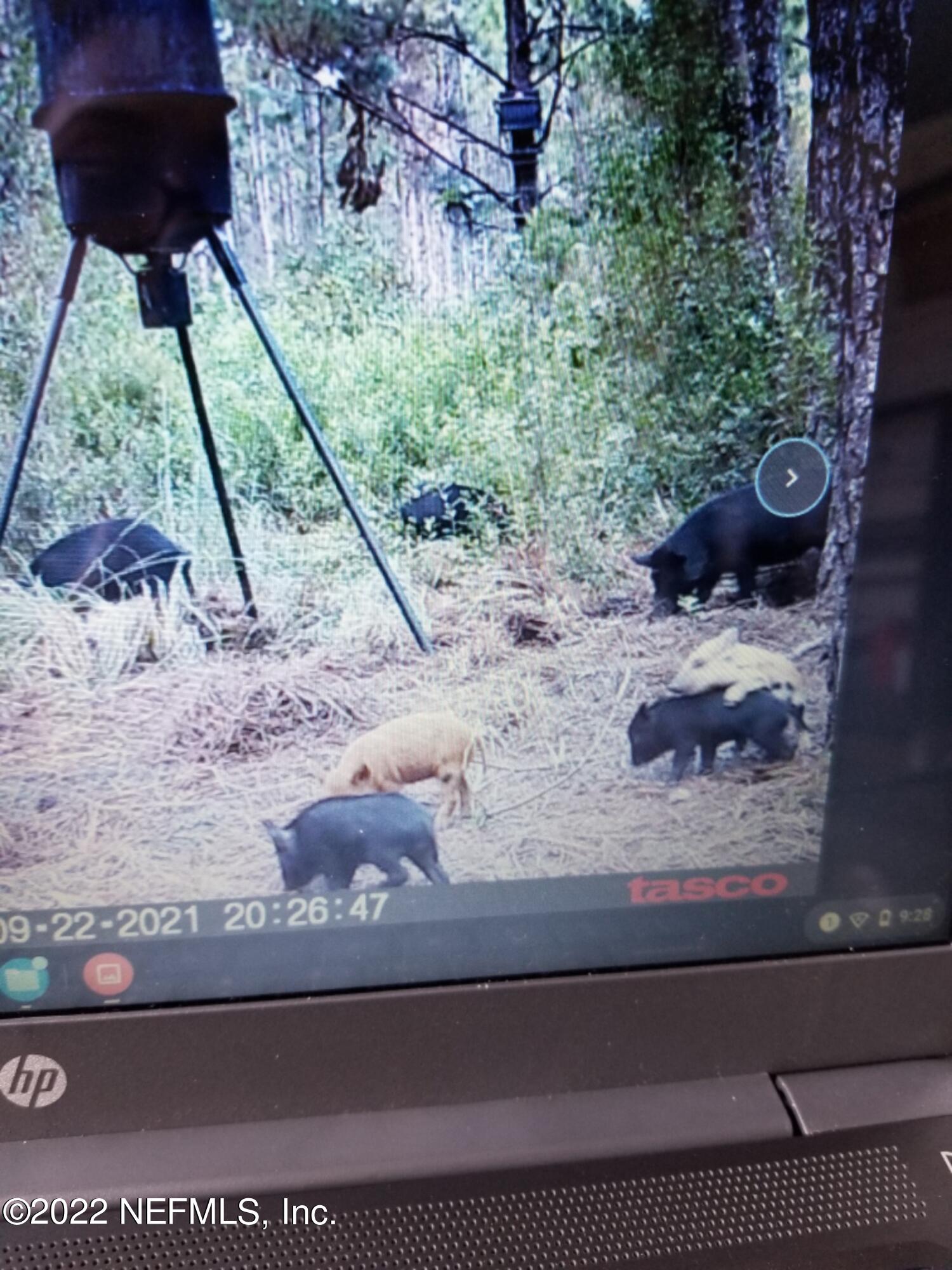 0 Southeast McCray Road Mayo, FL 32066 - Photo 21 of 22 Resized_20210925_092817