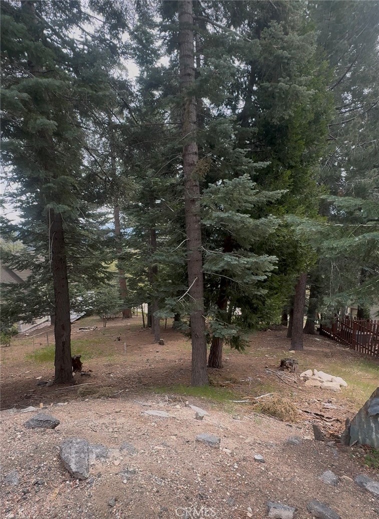 295 Grandview Road Twin Peaks, CA 92391 - Photo 1 of 11 a backyard of a house with lots of green space