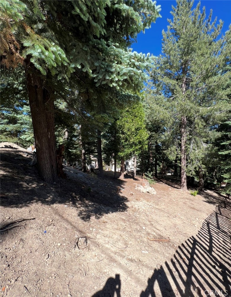 295 Grandview Road Twin Peaks, CA 92391 - Photo 5 of 11 a view of outdoor space yard and tree