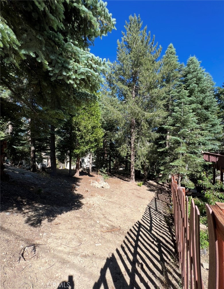 295 Grandview Road Twin Peaks, CA 92391 - Photo 6 of 11 a view of a backyard of the house
