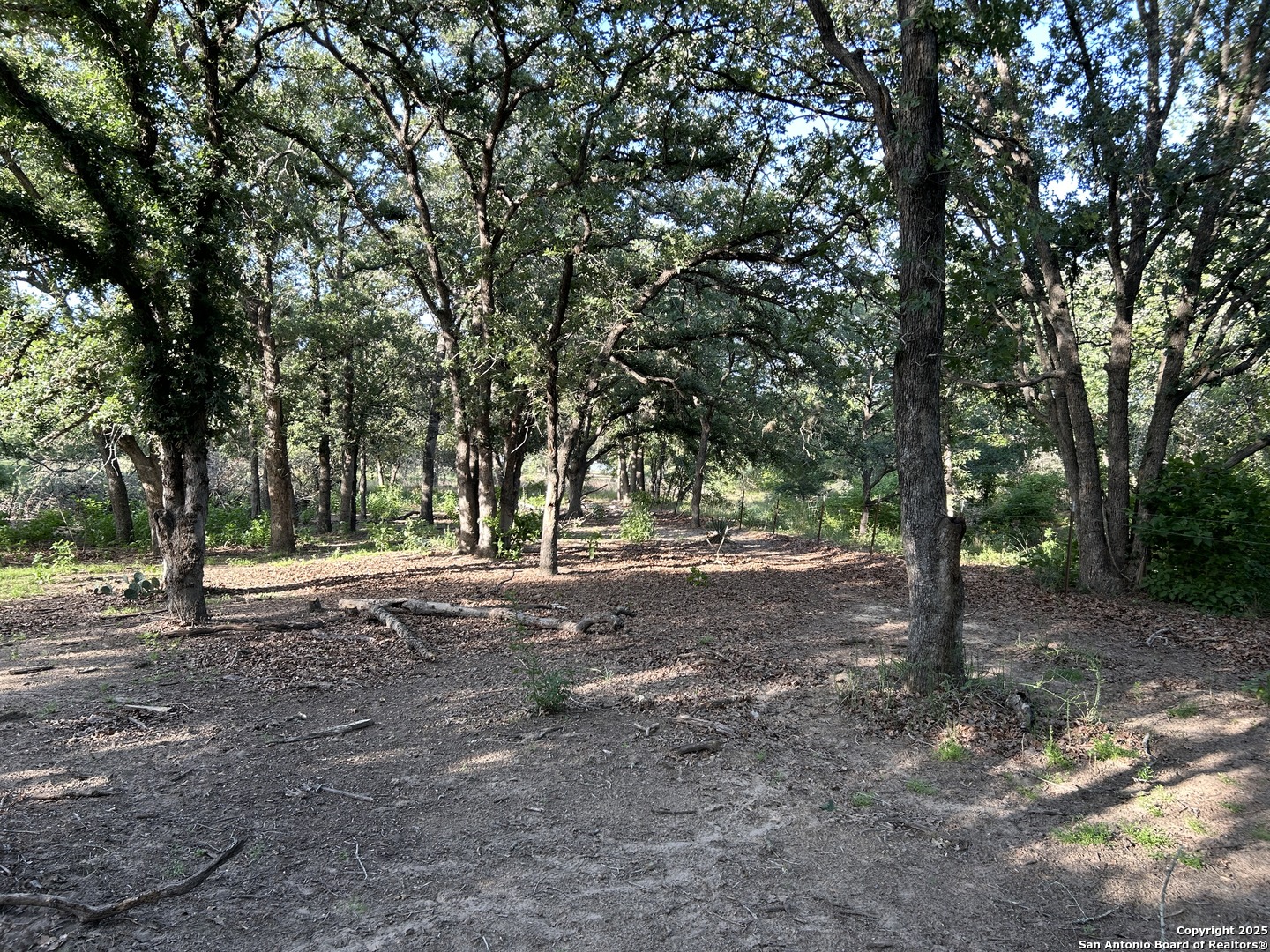 175 Smith La Vernia, TX 78121 - Photo 4 of 9 a view of a tree in the middle of a yard