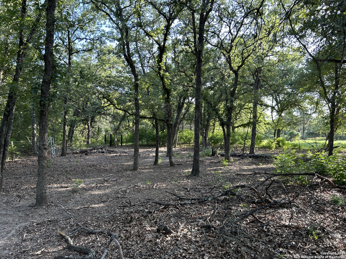 175 Smith La Vernia, TX 78121 - Photo 5 of 9 a backyard of a house with lots of green space
