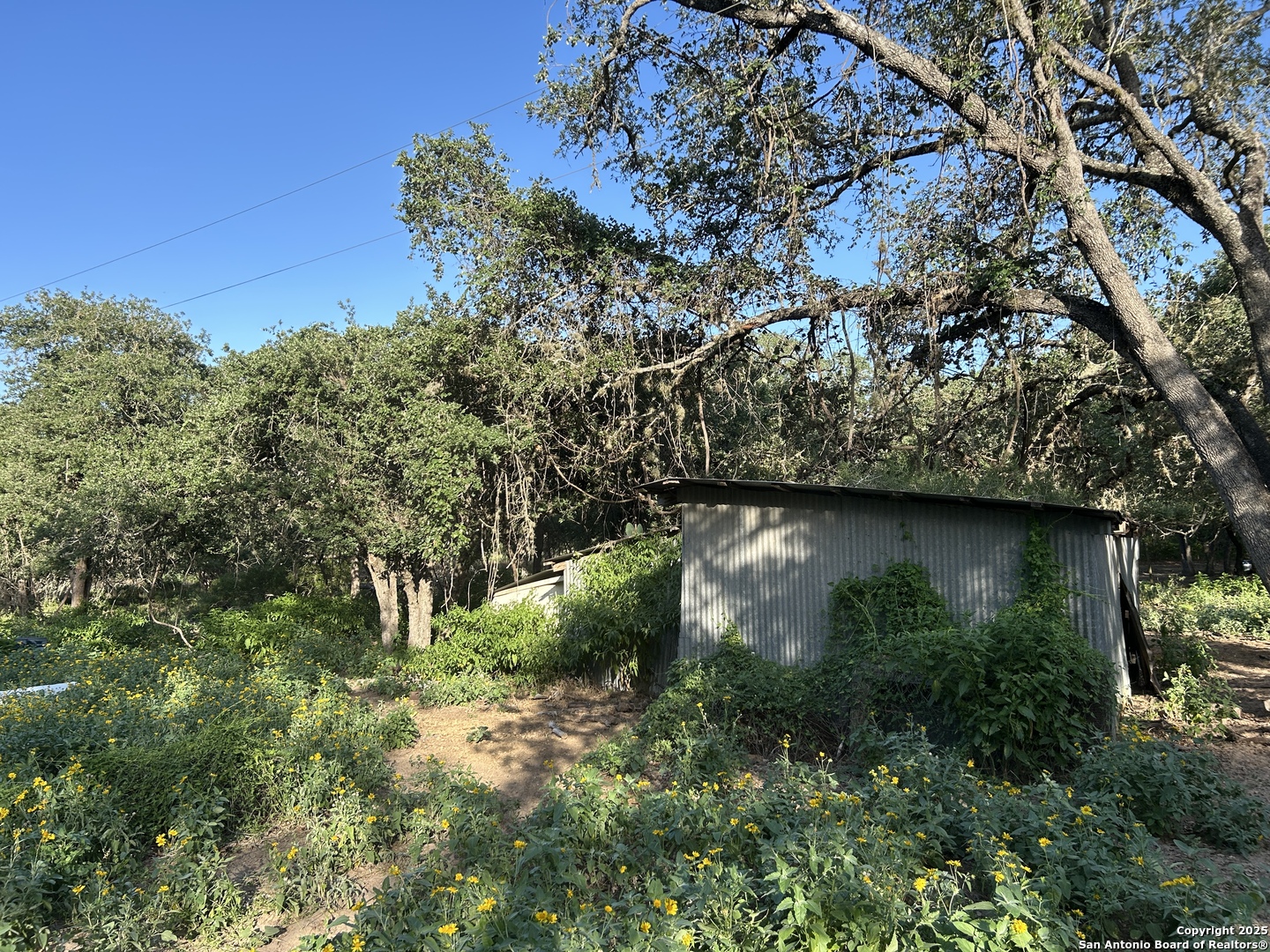 175 Smith La Vernia, TX 78121 - Photo 6 of 9 a view of a garden with a tree