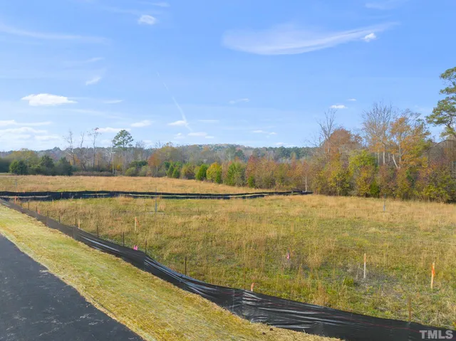 a view of large yard