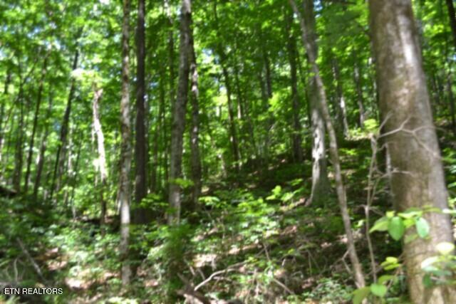 2390 Pea Ridge Fire Tower Road Celina, TN 38551 - Photo 38 of 58 DSC_0130