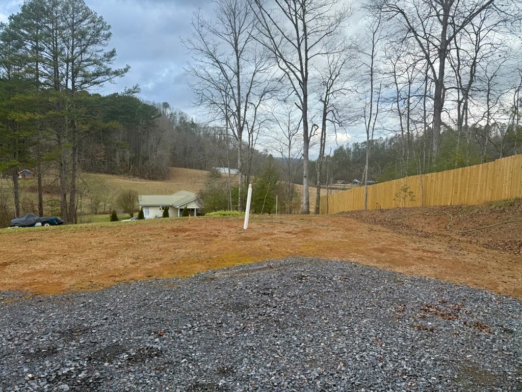 954 Croft Chapel Road Turtletown, TN 37391 - Photo 3 of 8 a view of a backyard with large trees