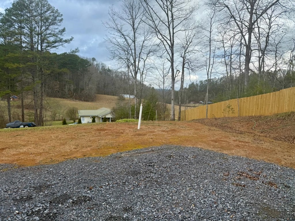 954 Croft Chapel Road Turtletown, TN 37391 - Photo 7 of 8 a view of a backyard with large trees