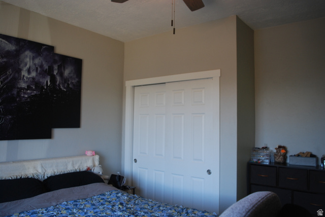 116 North 3rd Street Tooele, UT 84074 - Photo 9 of 45 Neutral wall color, white trim, and a white paneled sliding closet door