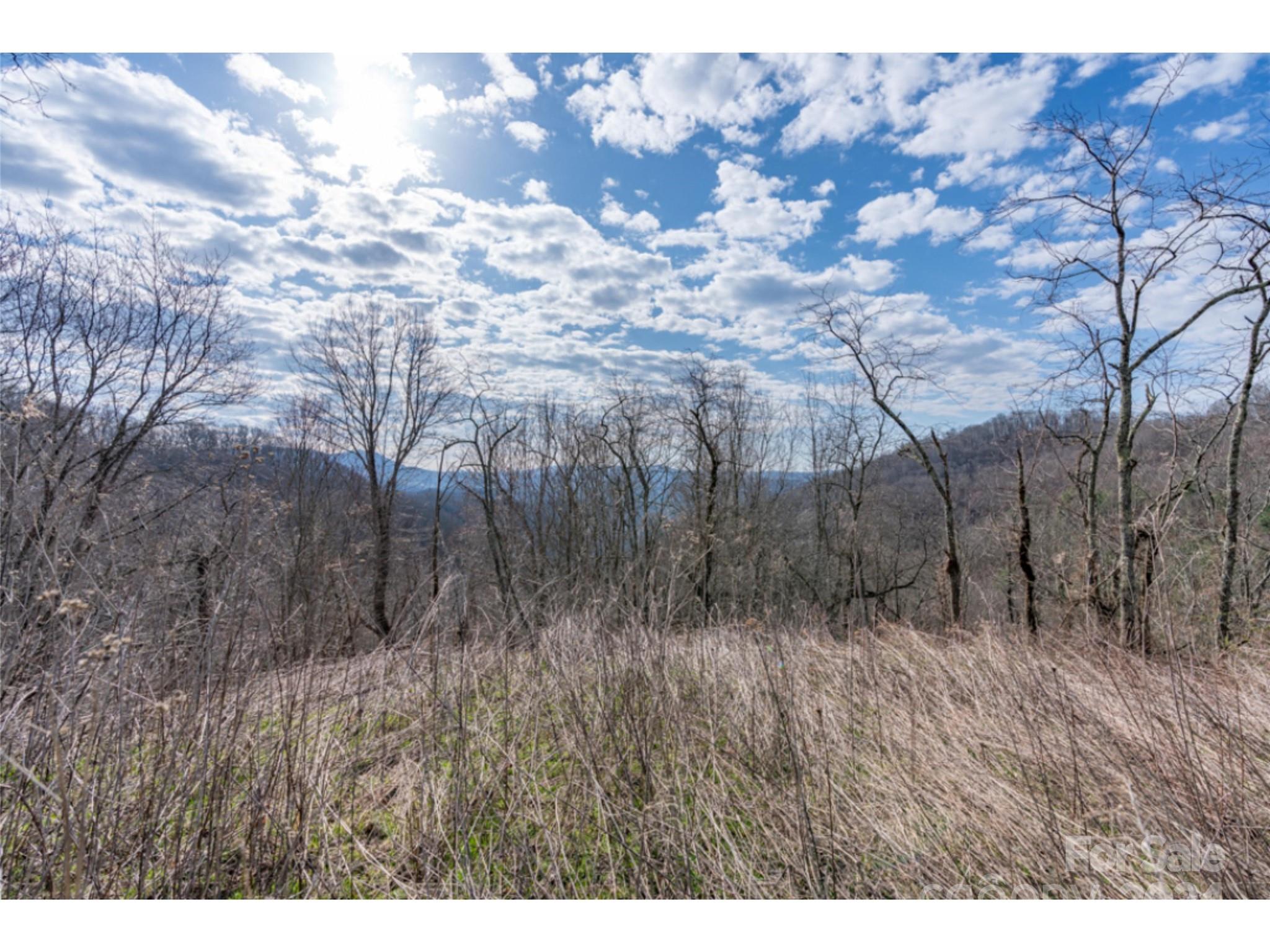 0 Georges Gap Road Sugar Grove, NC 28679 - Photo 24 of 47 Gallery Image 24