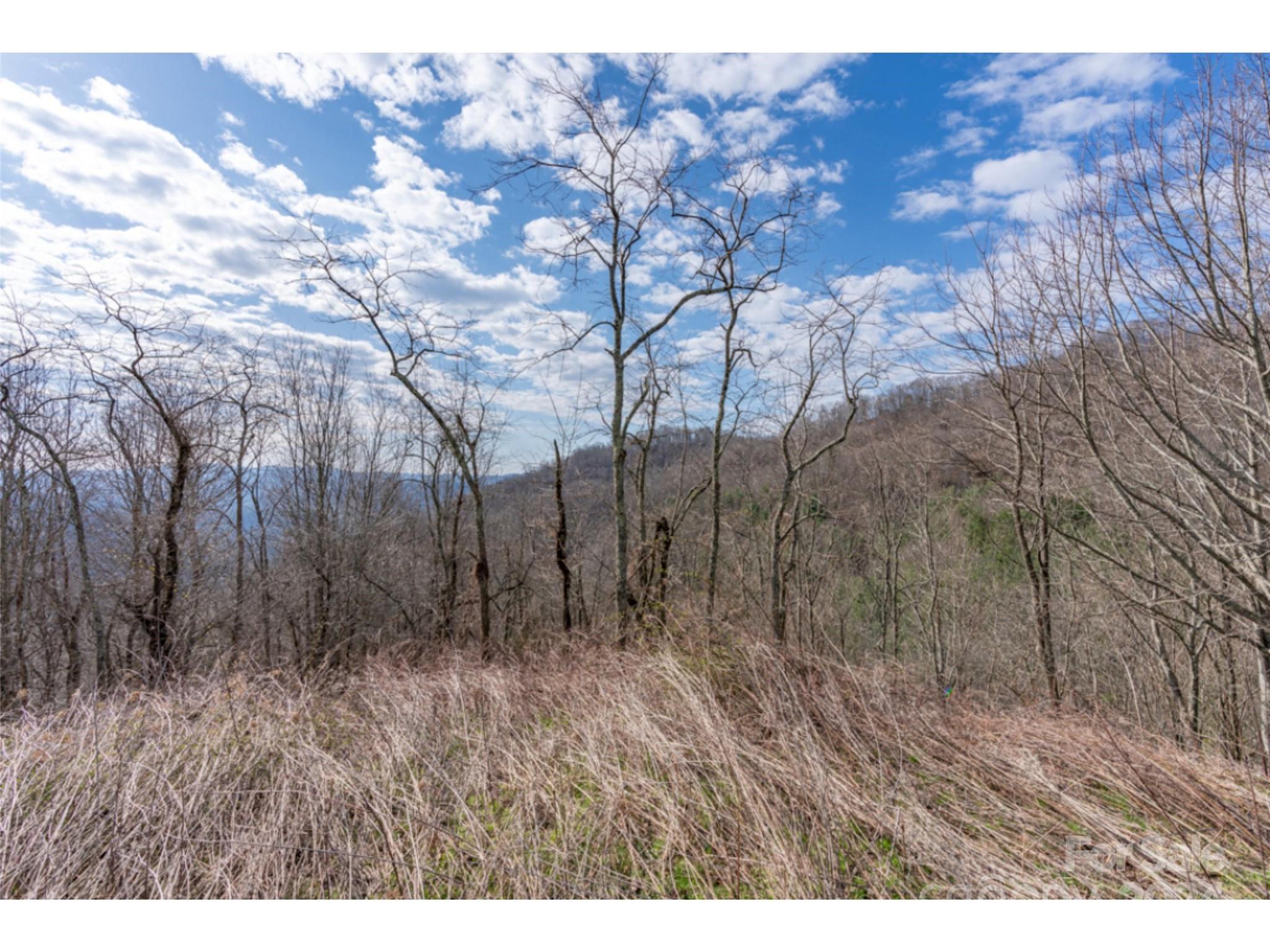 0 Georges Gap Road Sugar Grove, NC 28679 - Photo 25 of 47 Gallery Image 25