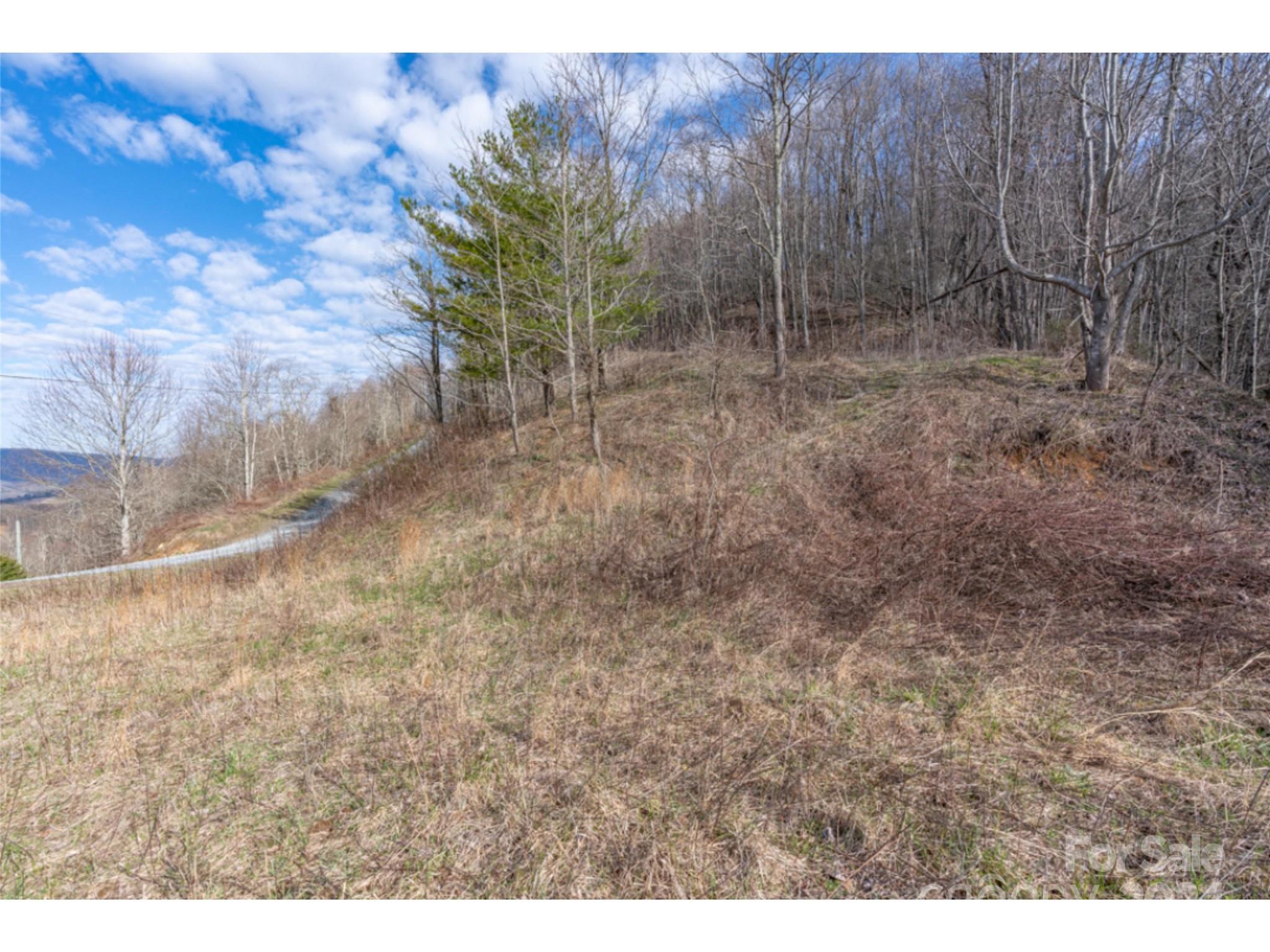 0 Georges Gap Road Sugar Grove, NC 28679 - Photo 26 of 47 Gallery Image 26