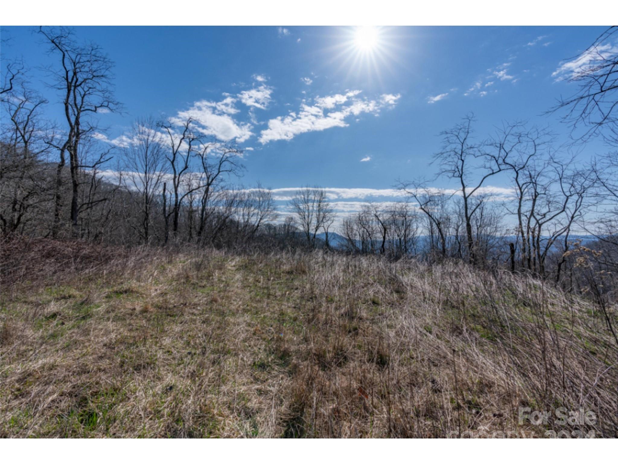 0 Georges Gap Road Sugar Grove, NC 28679 - Photo 33 of 47 Gallery Image 33