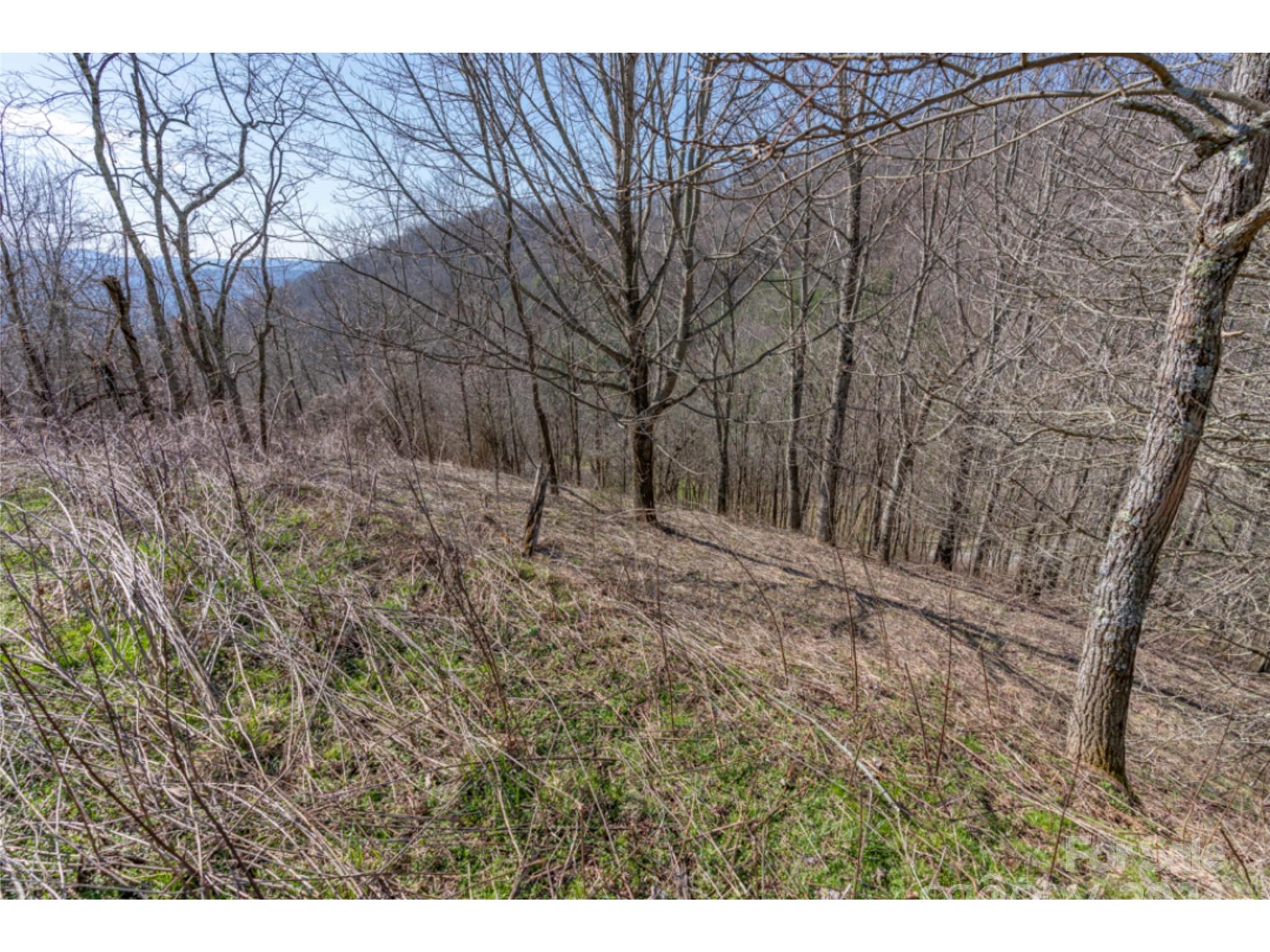 0 Georges Gap Road Sugar Grove, NC 28679 - Photo 35 of 47 Gallery Image 35