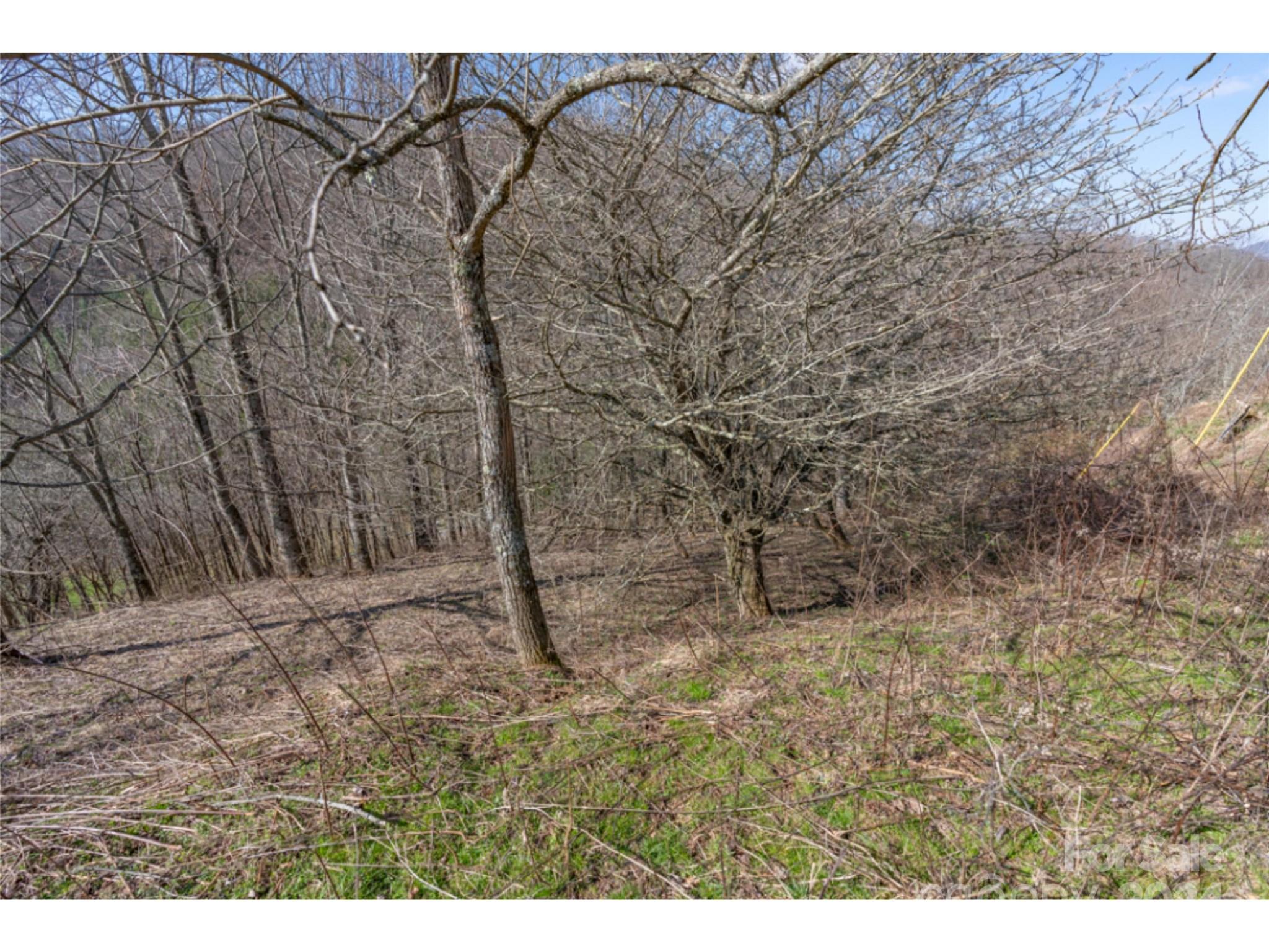 0 Georges Gap Road Sugar Grove, NC 28679 - Photo 36 of 47 Gallery Image 36