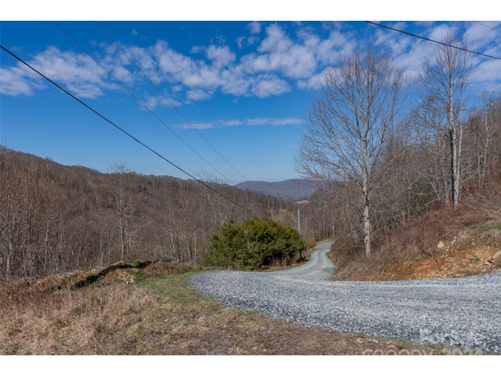 0 Georges Gap Road Sugar Grove, NC 28679 - Photo 39 of 47 Gallery Image 39