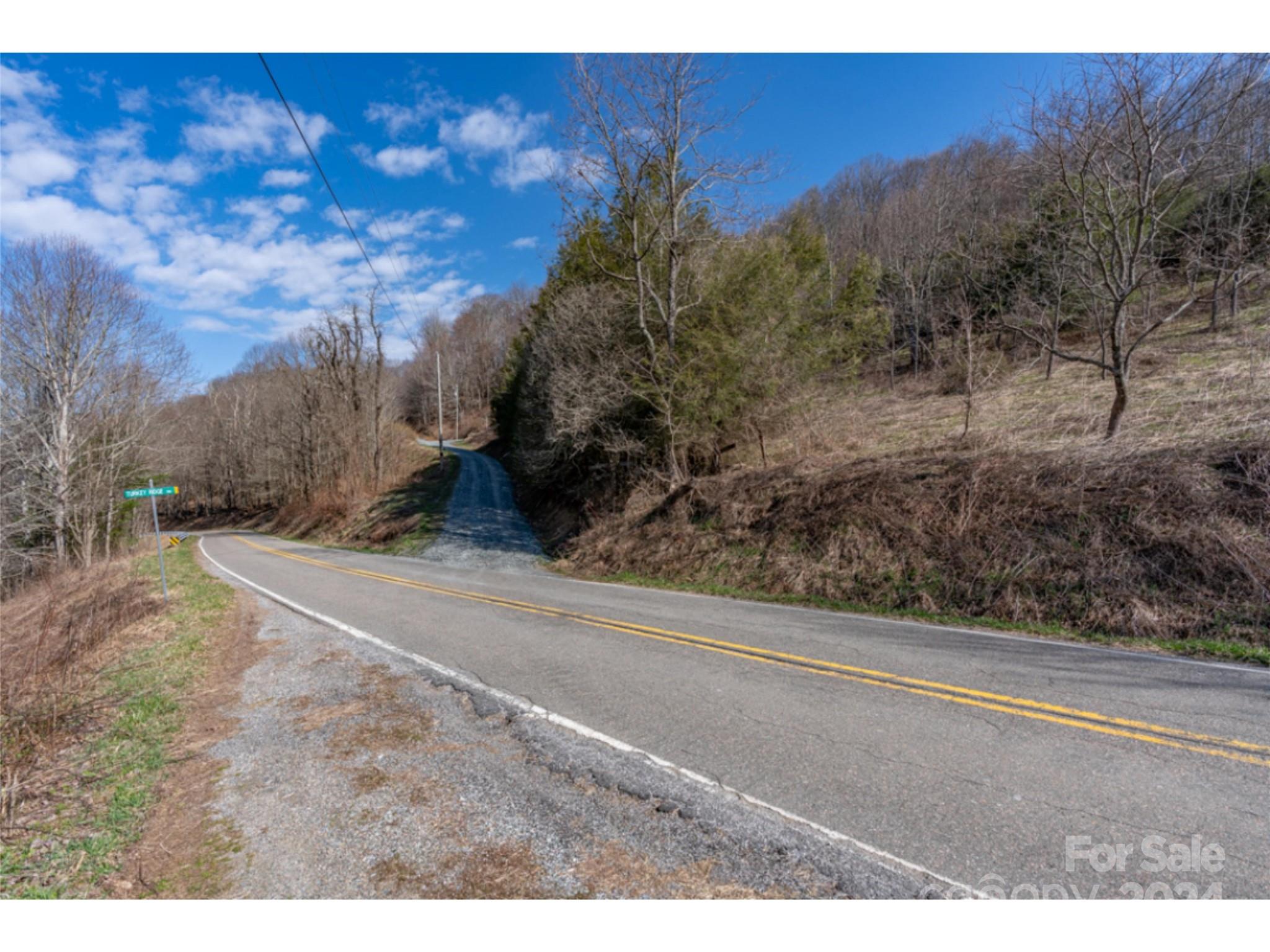 0 Georges Gap Road Sugar Grove, NC 28679 - Photo 41 of 47 Gallery Image 41