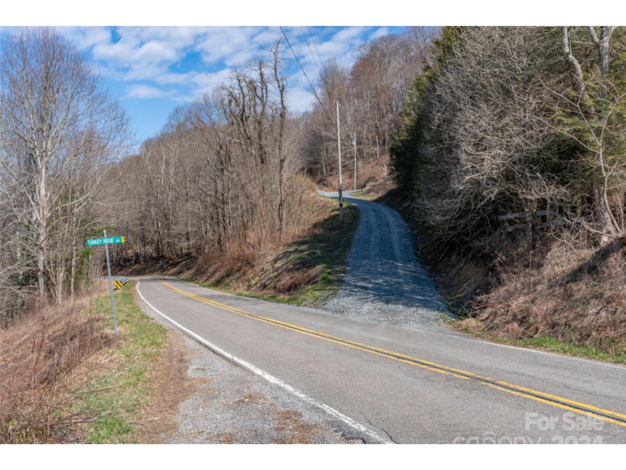 0 Georges Gap Road Sugar Grove, NC 28679 - Photo 42 of 47 Gallery Image 42