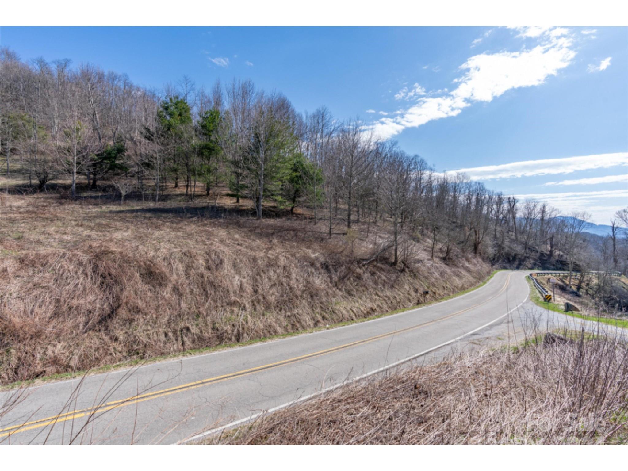 0 Georges Gap Road Sugar Grove, NC 28679 - Photo 45 of 47 Gallery Image 45