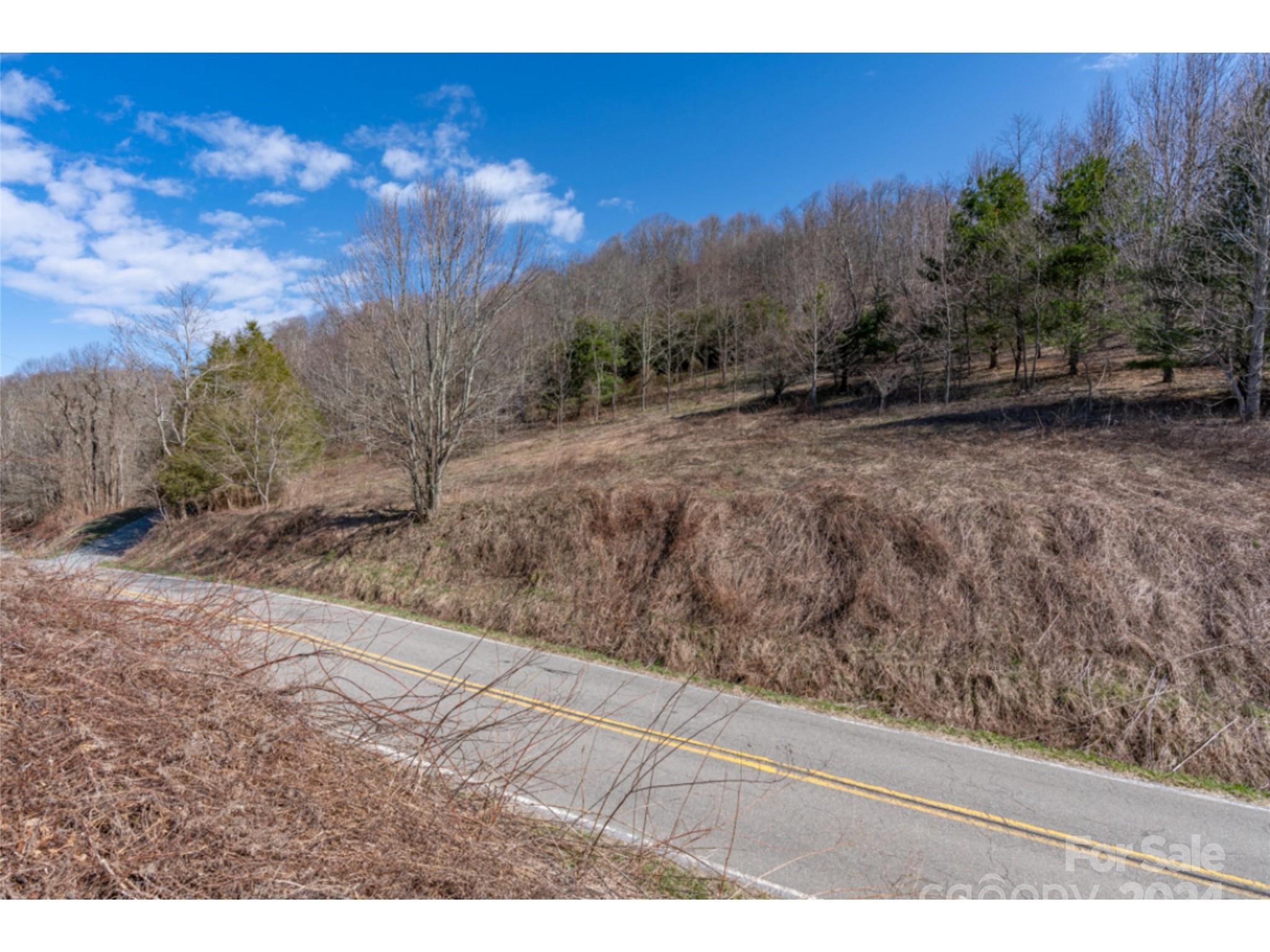 0 Georges Gap Road Sugar Grove, NC 28679 - Photo 46 of 47 Gallery Image 46
