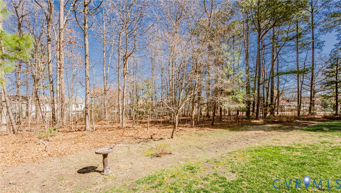 9906 Purcell Road Henrico, VA 23228 - Photo 47 of 49 Gallery Image 47