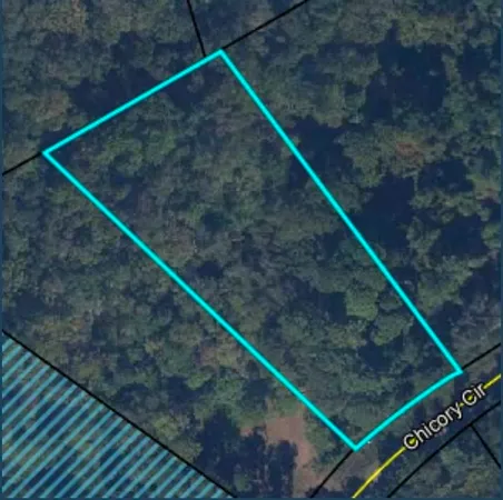 $50,000 | 5179 Chicory Circle, Middleburg, FL 32068