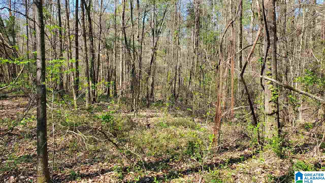 4356 Richeytown Road, Unit 1 Oxford, AL 36203 - Photo 7 of 10