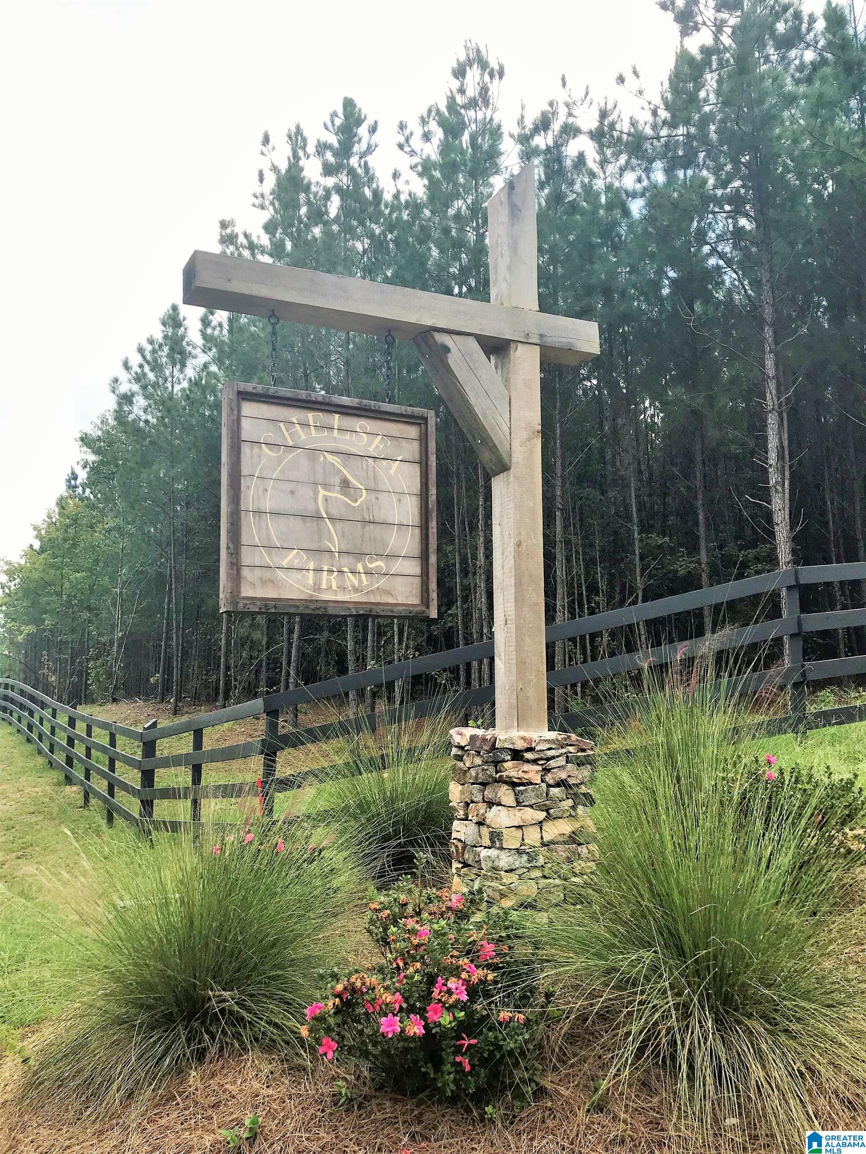 0 Chelsea Farms Road, Unit 24 Chelsea, AL 35043 - Photo 37 of 37